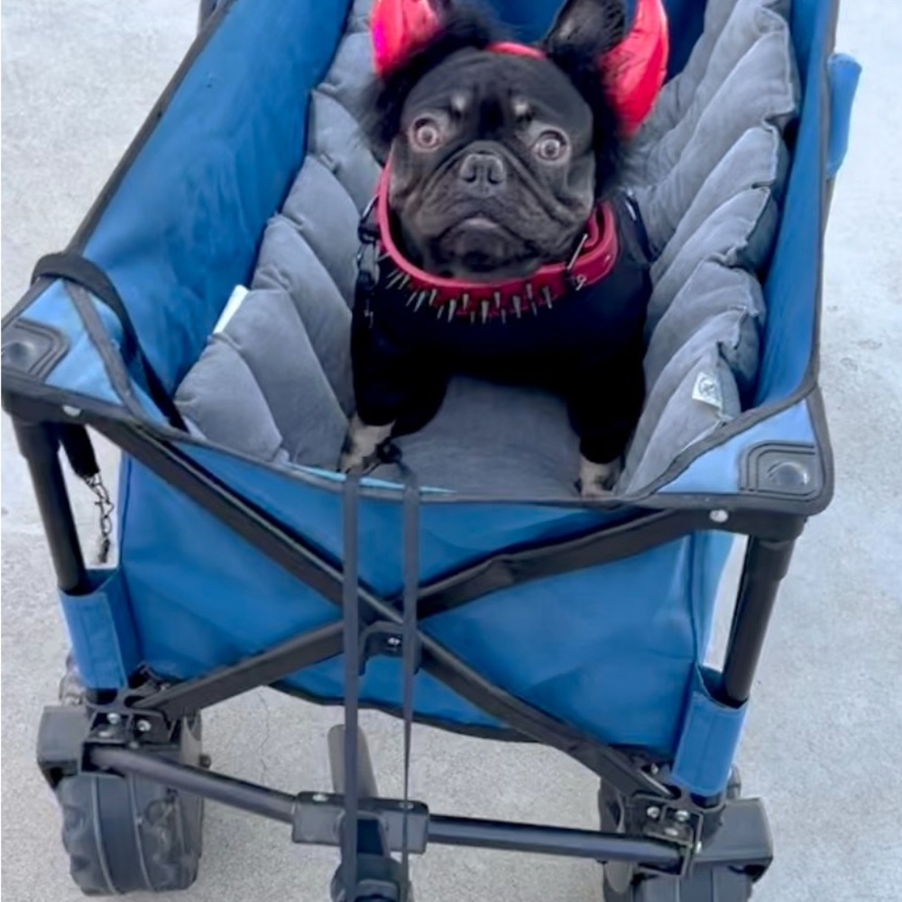 BEWARE OF this cute SCAMMER!😆 - Picture 3 of 17